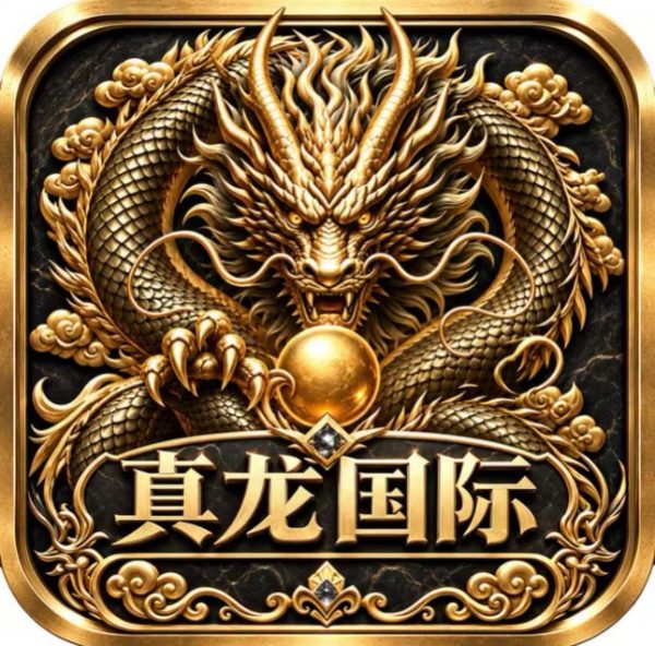 真龙国际